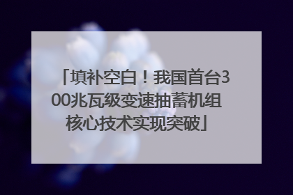 填补空白！我国首台300兆瓦级变速抽蓄机组核心技术实现突破
