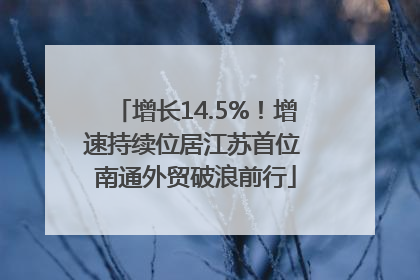 增长14.5%！增速持续位居江苏首位 南通外贸破浪前行
