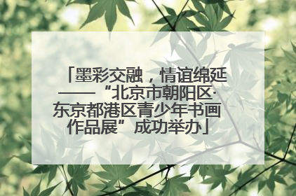 墨彩交融，情谊绵延——“北京市朝阳区·东京都港区青少年书画作品展”成功举办