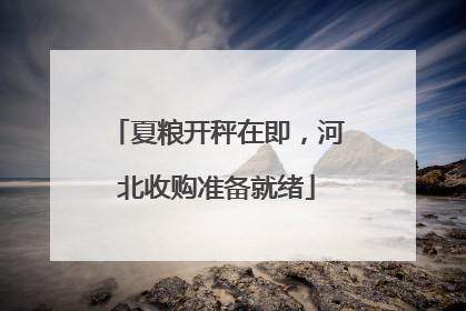 夏粮开秤在即，河北收购准备就绪