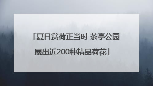 夏日赏荷正当时 茶亭公园展出近200种精品荷花