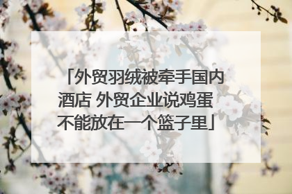 外贸羽绒被牵手国内酒店 外贸企业说鸡蛋不能放在一个篮子里
