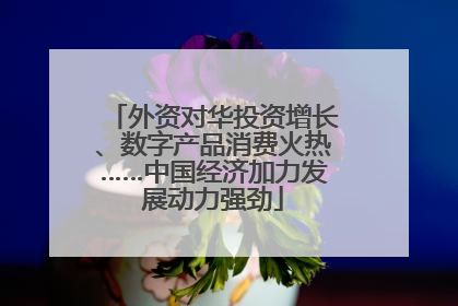 外资对华投资增长、数字产品消费火热……中国经济加力发展动力强劲