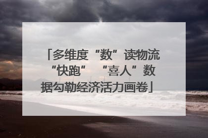 多维度“数”读物流“快跑” “喜人”数据勾勒经济活力画卷