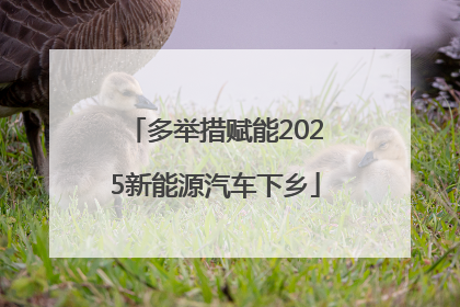 多举措赋能2025新能源汽车下乡