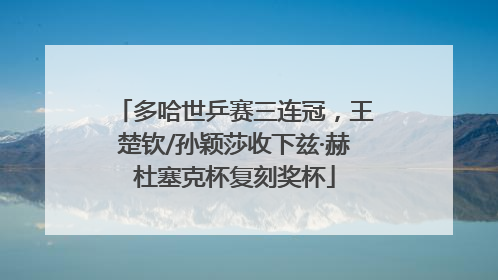 多哈世乒赛三连冠，王楚钦/孙颖莎收下兹·赫杜塞克杯复刻奖杯
