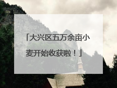 大兴区五万余亩小麦开始收获啦！