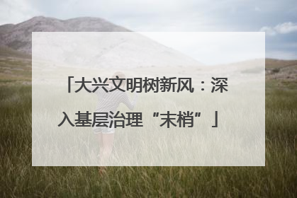 大兴文明树新风：深入基层治理“末梢”