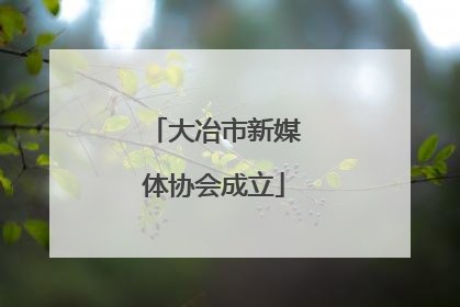 大冶市新媒体协会成立