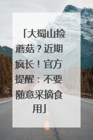 大蜀山捡蘑菇？近期疯长！官方提醒：不要随意采摘食用