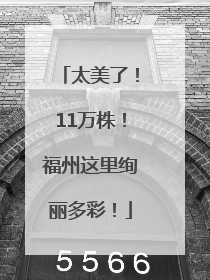 太美了！11万株！福州这里绚丽多彩！