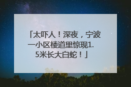 太吓人！深夜，宁波一小区楼道里惊现1.5米长大白蛇！