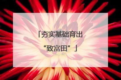 夯实基础育出“致富田”