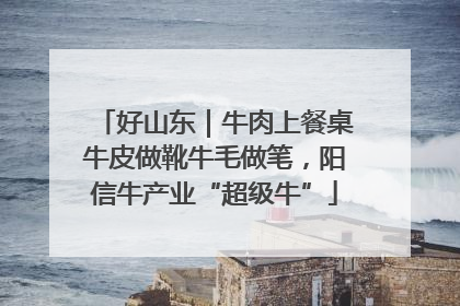 好山东｜牛肉上餐桌牛皮做靴牛毛做笔，阳信牛产业“超级牛”