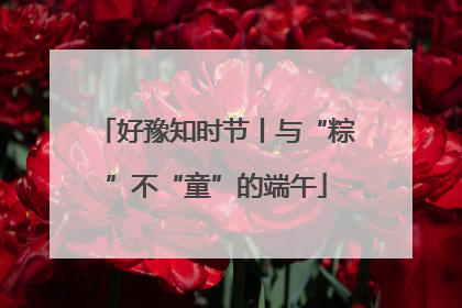 好豫知时节丨与“粽”不“童”的端午