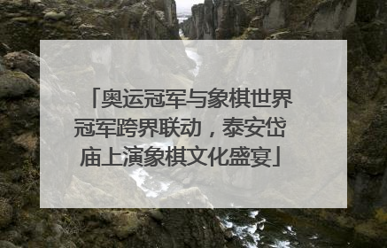 奥运冠军与象棋世界冠军跨界联动，泰安岱庙上演象棋文化盛宴