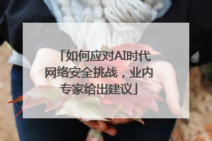 如何应对AI时代网络安全挑战，业内专家给出建议