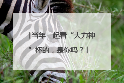 当年一起看“大力神”杯的，是你吗？