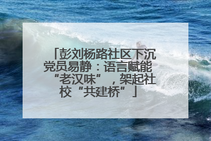 彭刘杨路社区下沉党员易静：语言赋能“老汉味”，架起社校“共建桥”