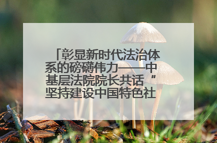 彰显新时代法治体系的磅礴伟力——中基层法院院长共话“坚持建设中国特色社会主义法治体系”