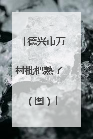 德兴市万村枇杷熟了（图）