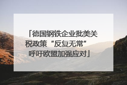 德国钢铁企业批美关税政策“反复无常” 呼吁欧盟加强应对