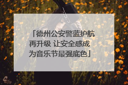 德州公安警蓝护航再升级 让安全感成为音乐节最强底色