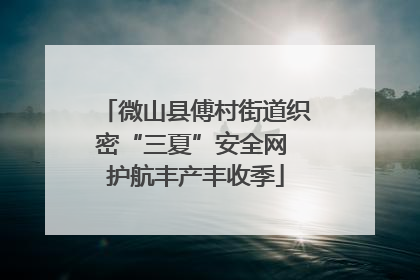 微山县傅村街道织密“三夏”安全网 护航丰产丰收季