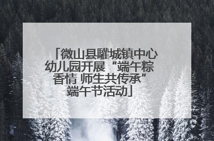 微山县驩城镇中心幼儿园开展“端午粽香情 师生共传承”端午节活动