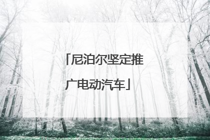 尼泊尔坚定推广电动汽车