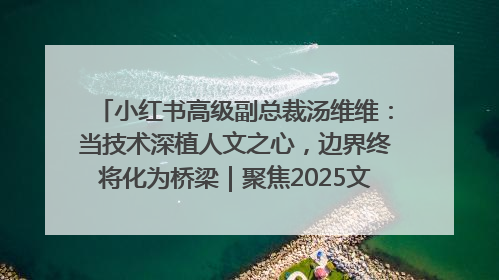 小红书高级副总裁汤维维：当技术深植人文之心，边界终将化为桥梁｜聚焦2025文化强国建设高峰论坛