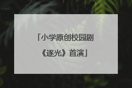 小学原创校园剧《逐光》首演