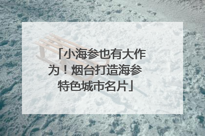 小海参也有大作为！烟台打造海参特色城市名片