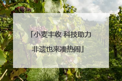 小麦丰收 科技助力 非遗也来凑热闹