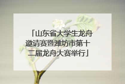 山东省大学生龙舟邀请赛暨潍坊市第十二届龙舟大赛举行