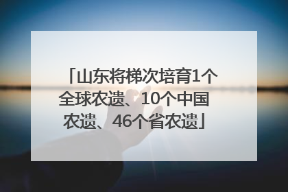 山东将梯次培育1个全球农遗、10个中国农遗、46个省农遗