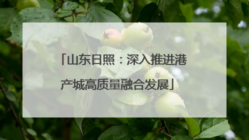 山东日照：深入推进港产城高质量融合发展