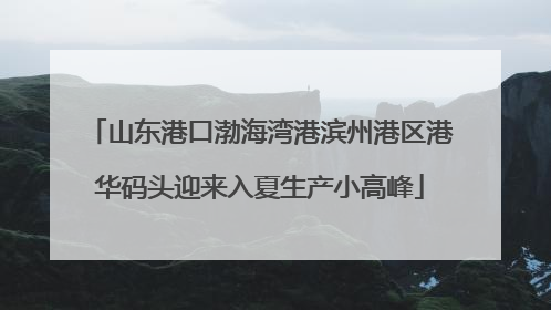 山东港口渤海湾港滨州港区港华码头迎来入夏生产小高峰
