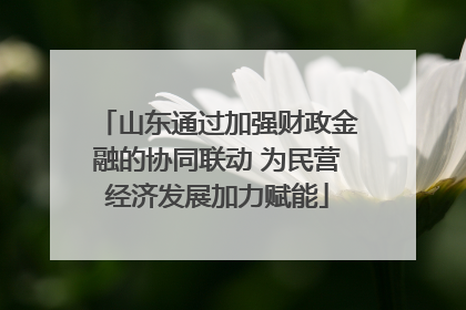 山东通过加强财政金融的协同联动 为民营经济发展加力赋能
