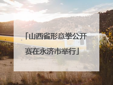 山西省形意拳公开赛在永济市举行