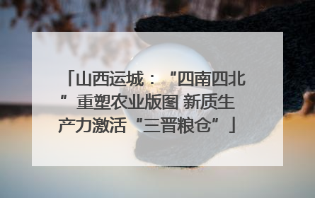 山西运城：“四南四北”重塑农业版图 新质生产力激活“三晋粮仓”