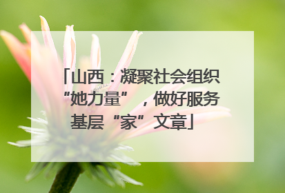 山西：凝聚社会组织“她力量”，做好服务基层“家”文章