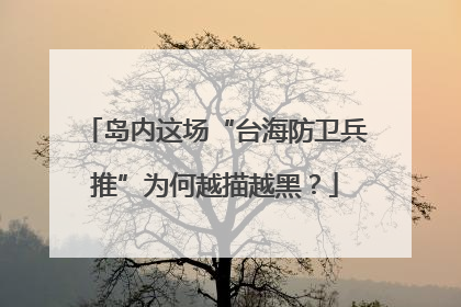岛内这场“台海防卫兵推”为何越描越黑？