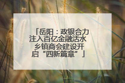岳阳：政银合力注入百亿金融活水 乡镇商会建设开启“四新篇章”