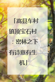 嵩县车村镇顶宝石村：密林之下有诗意有生机