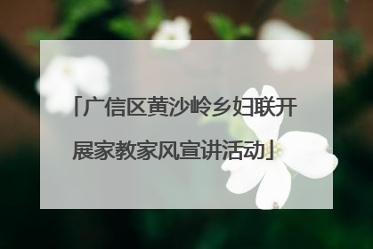 广信区黄沙岭乡妇联开展家教家风宣讲活动