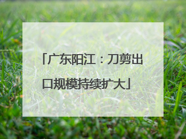 广东阳江：刀剪出口规模持续扩大