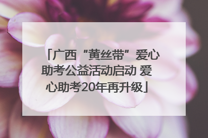 广西“黄丝带”爱心助考公益活动启动 爱心助考20年再升级