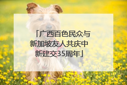 广西百色民众与新加坡友人共庆中新建交35周年