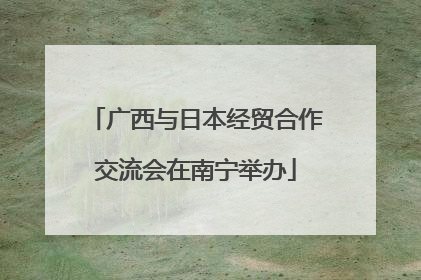 广西与日本经贸合作交流会在南宁举办